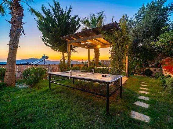 Honeymoon With Sea View